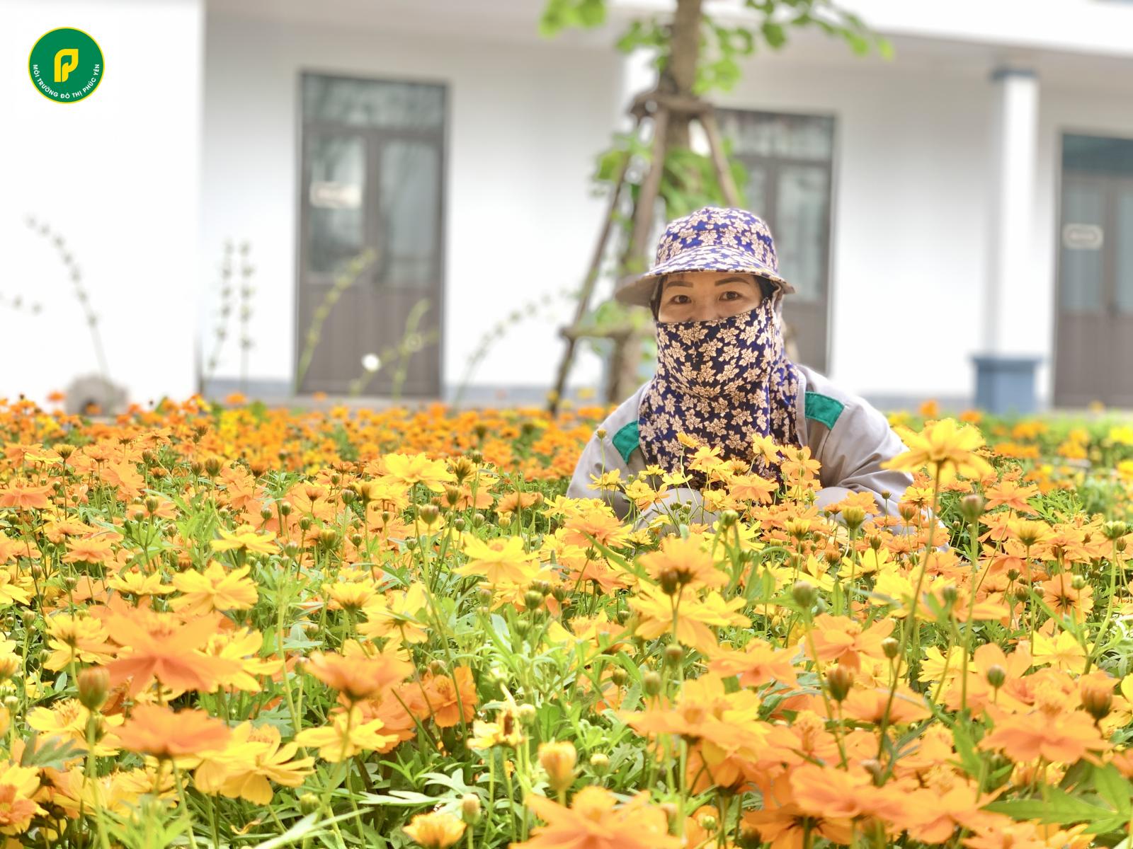 TRANG TRÍ HOA, CÂY CẢNH PHỤC VỤ NHÂN DÂN DỊP KỶ NIỆM 30/4, 1/5